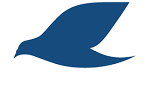 ZAJEL | Courier & Services